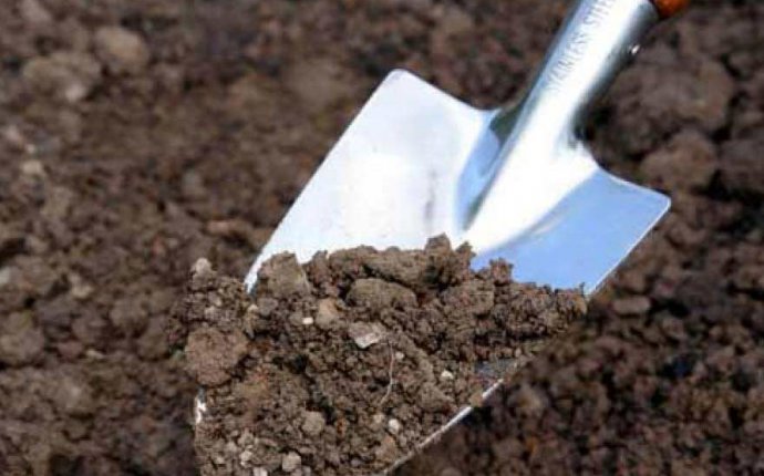 Подготовка почвы для посадки картофеля весной — Cельхозпортал